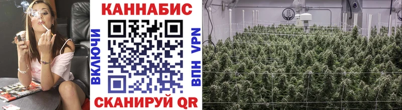 Как найти закладки Сураж hydra онион Кокаин Мефедрон Alpha-PVP Канабис Гашиш