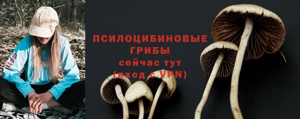 каннабис Арсеньев