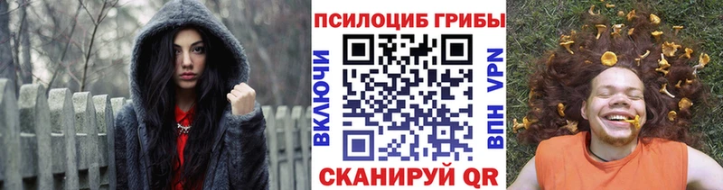 Псилоцибиновые грибы прущие грибы  купить наркотики сайты  мега   Сураж 