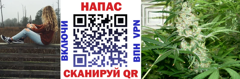 продажа наркотиков  Сураж  Канабис сатива 